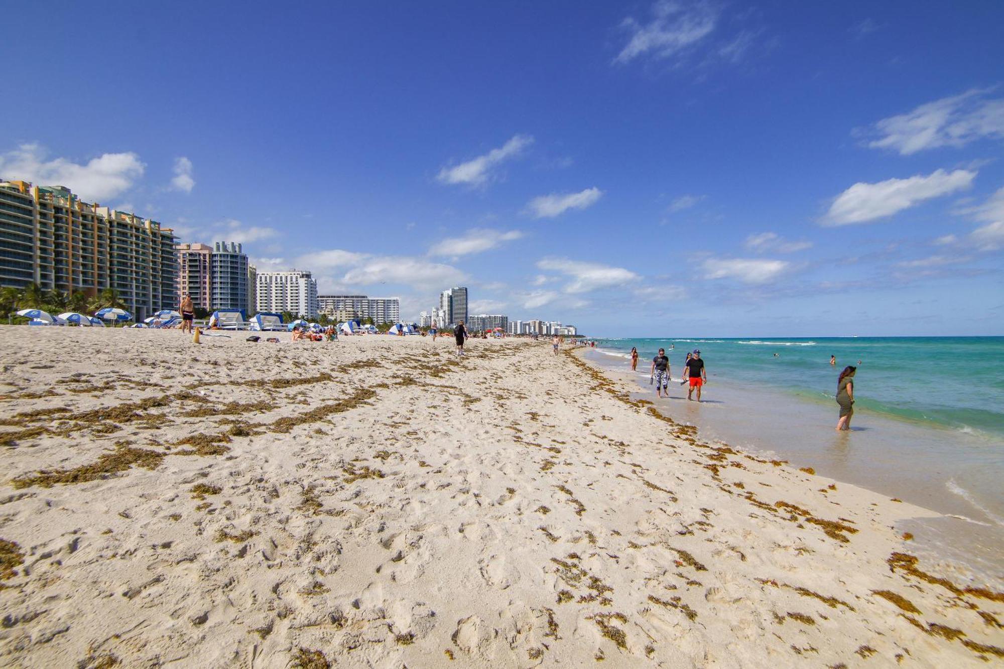 Fresh Ocean Dr, W/2 Queen Beds-steps 2 Appartamento Miami Beach